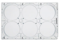 德國(guó)艾本德(Eppendorf)Cell Culture Plates,6-Well,無(wú)菌無(wú)熱原,無(wú)RNase和DNase,無(wú)人類和細(xì)菌DNA,無(wú)細(xì)胞毒素,未處理,5mL,60塊,獨(dú)立包裝