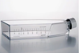 德國艾本德(Eppendorf)Cell Culture FlasksT-175,無菌無熱原,無RNase和DNase,無人類和細(xì)菌DNA,無細(xì)胞毒素,帶濾膜透氣蓋,TC處理,30.0mL