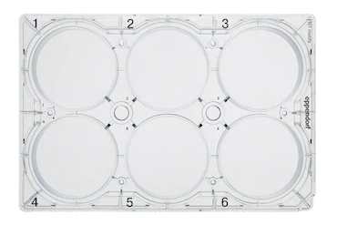 德國(guó)艾本德Eppendorf CCCadvanced? FN1,6-well,帶蓋,平底,無(wú)菌,無(wú)熱原,無(wú)RNase和DNase,無(wú)人類和細(xì)菌 DNA,無(wú)細(xì)胞毒素